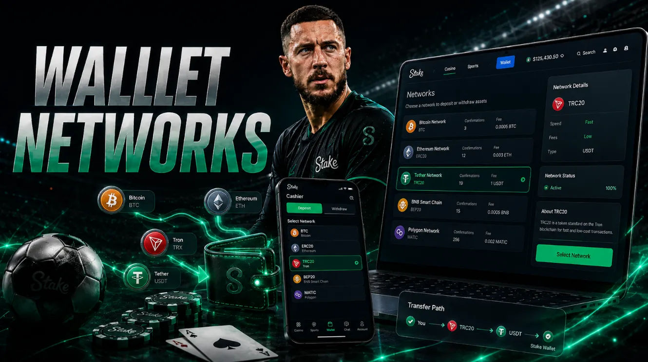Blockchain Networks and Wallet Addresses